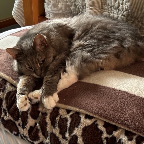 Welcome! - Picture 3 of 7